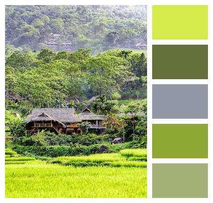 Thanhhoa Province Agriculture Pu Luong Nature Reserve Image